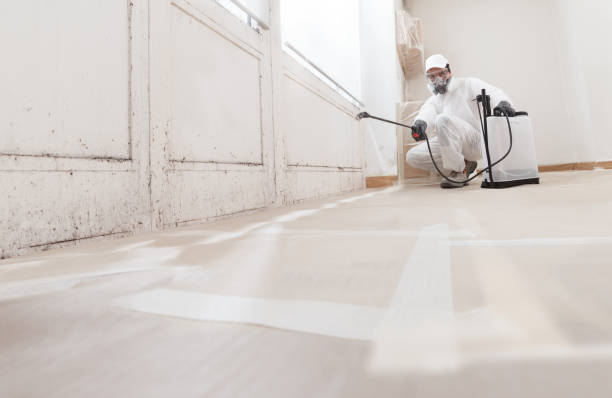 24/7 Emergency Mold Remediation experts in Rockwood, MI